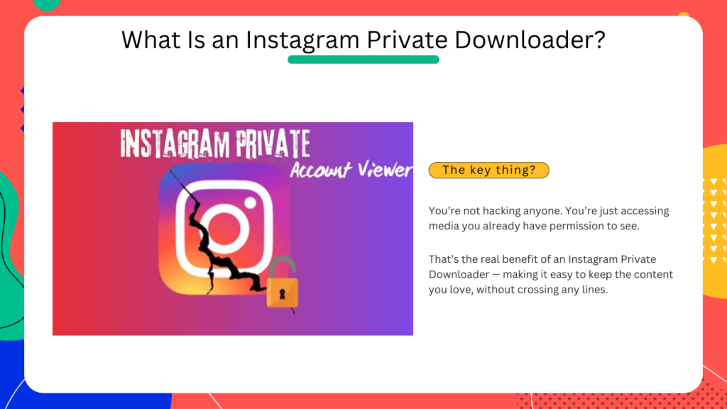 Instagram Reels Downloader Private Account Viewer Pro Download 10 Instagram Reels